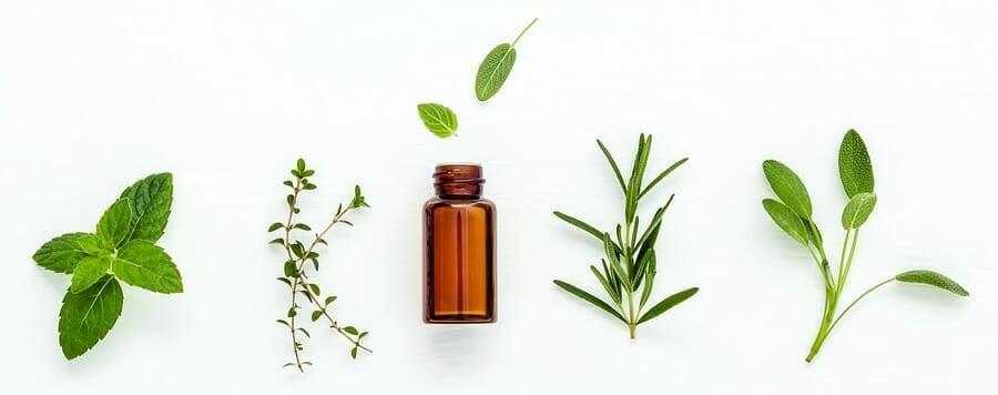 Are Herbs Better Than Essential Oils?