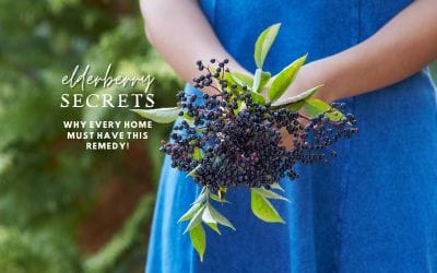 Elderberry Secrets; Why every home must have this remedy!