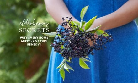 Elderberry Secrets; Why every home must have this remedy!