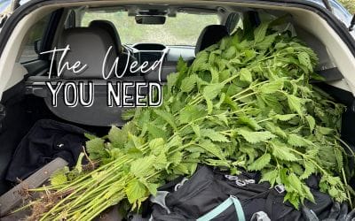 The Weed You Need