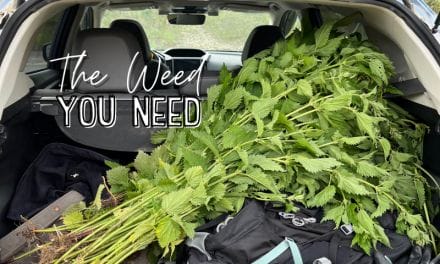 The Weed You Need